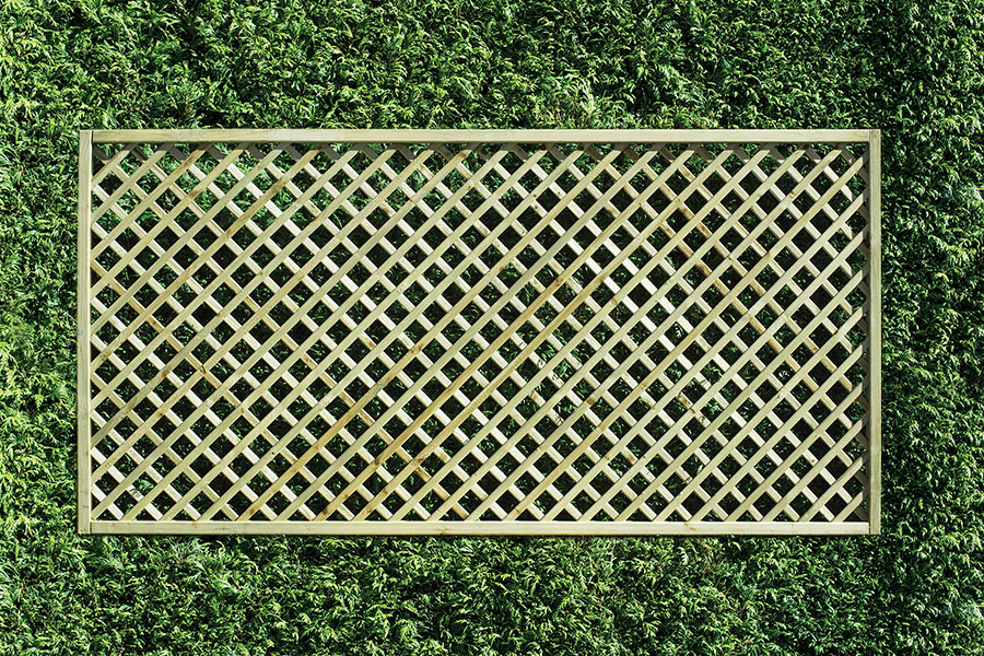 Diamond Lattice - Image 4