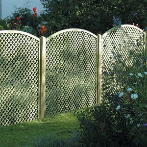 Diamond Lattice Convex