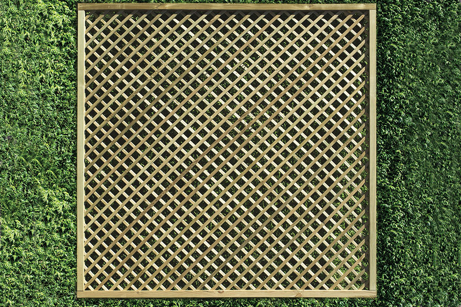 Diamond Lattice