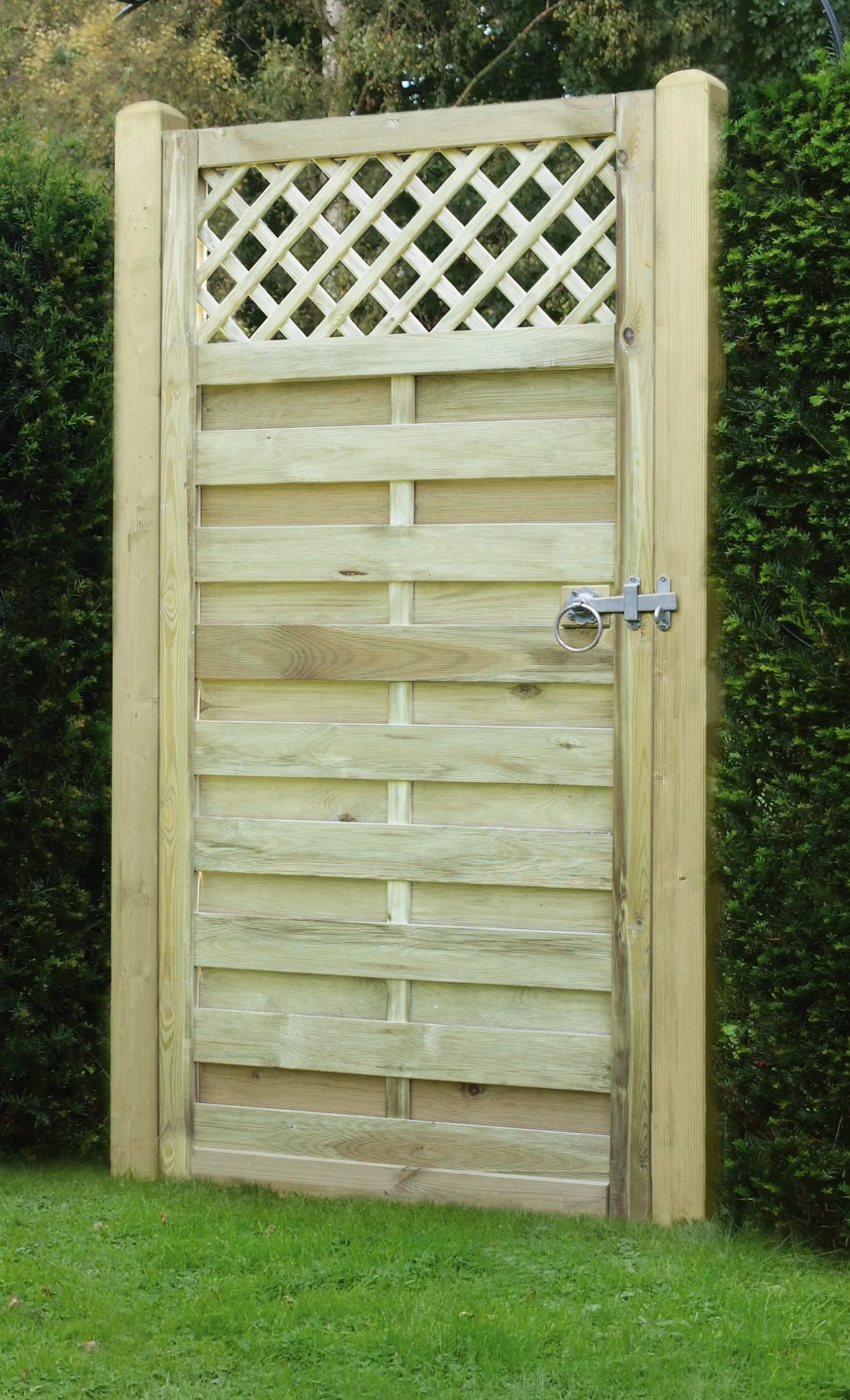 Horizontal Lattice Top Gate - Image 2